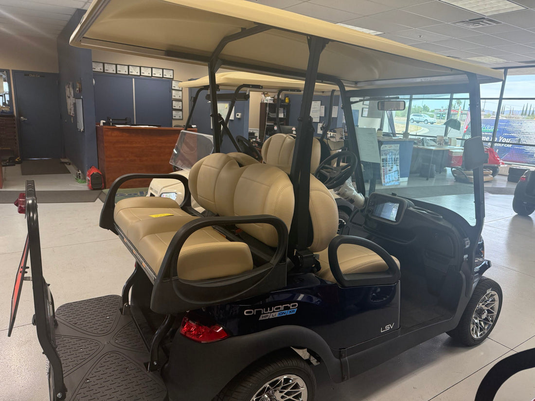 2026 Blue Onyx LSV XR image 0