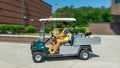 Carryall 502 - Club Car image 1